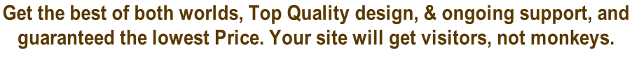 Get the best of both worlds, Top Quality design, & ongoing support, and  guaranteed the lowest Price. Your site will get visitors, not monkeys.